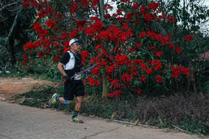 BIB: 
                            <button type="button" onclick="openModal(26143190)" class="btn btn-primary btn-sm float-right btn-popup" data-toggle="modal" data-target=".modal-high-quality">
                        <i class="fas fa-shopping-cart"></i> Add to Cart
                    </button>
                                            <button type="button" onclick="isThisMe(26143190, true)" class="btn btn-success btn-sm float-right btn-popup btn-isme hidden" data-toggle="tooltip" data-placement="bottom" title="นี่คือรูปของคุณใช่ไหม คลิกที่นี่เพื่อเอาเข้าอัลบั้ม">
                        <i class="fas fa-plus"></i> Add to album
                    </button>
                    <button type="button" onclick="isThisMe(26143190, false)" class="btn btn-warning btn-sm float-right btn-popup btn-isnotme hidden">
                        <i class="fas fa-ban"></i> Remove from album
                    </button>